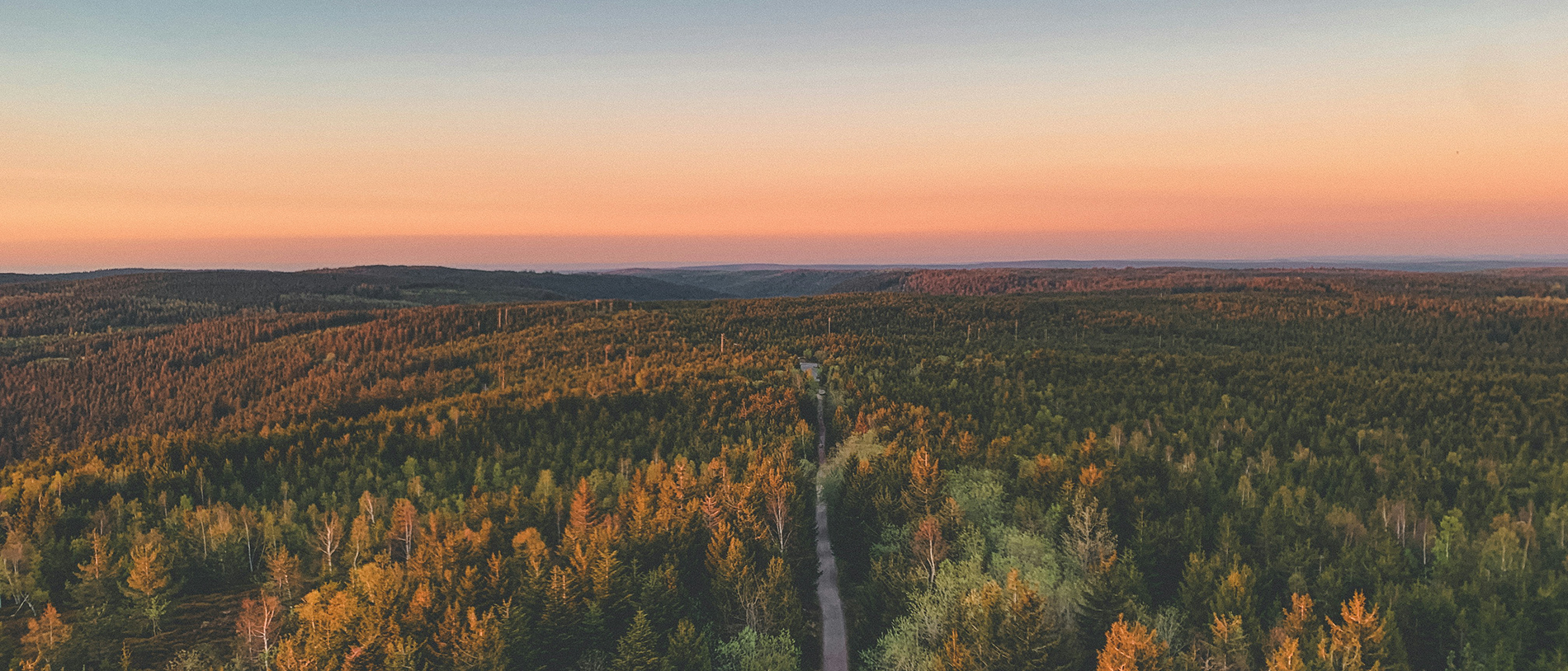 Gut erholen in den Ferienwohnungen der Villa Fink in Schramberg im Schwarzwald