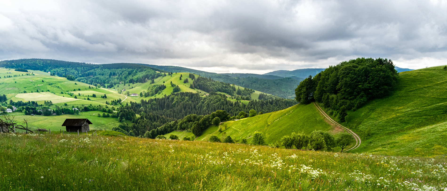 Gut erholen in den Ferienwohnungen der Villa Fink in Schramberg im Schwarzwald