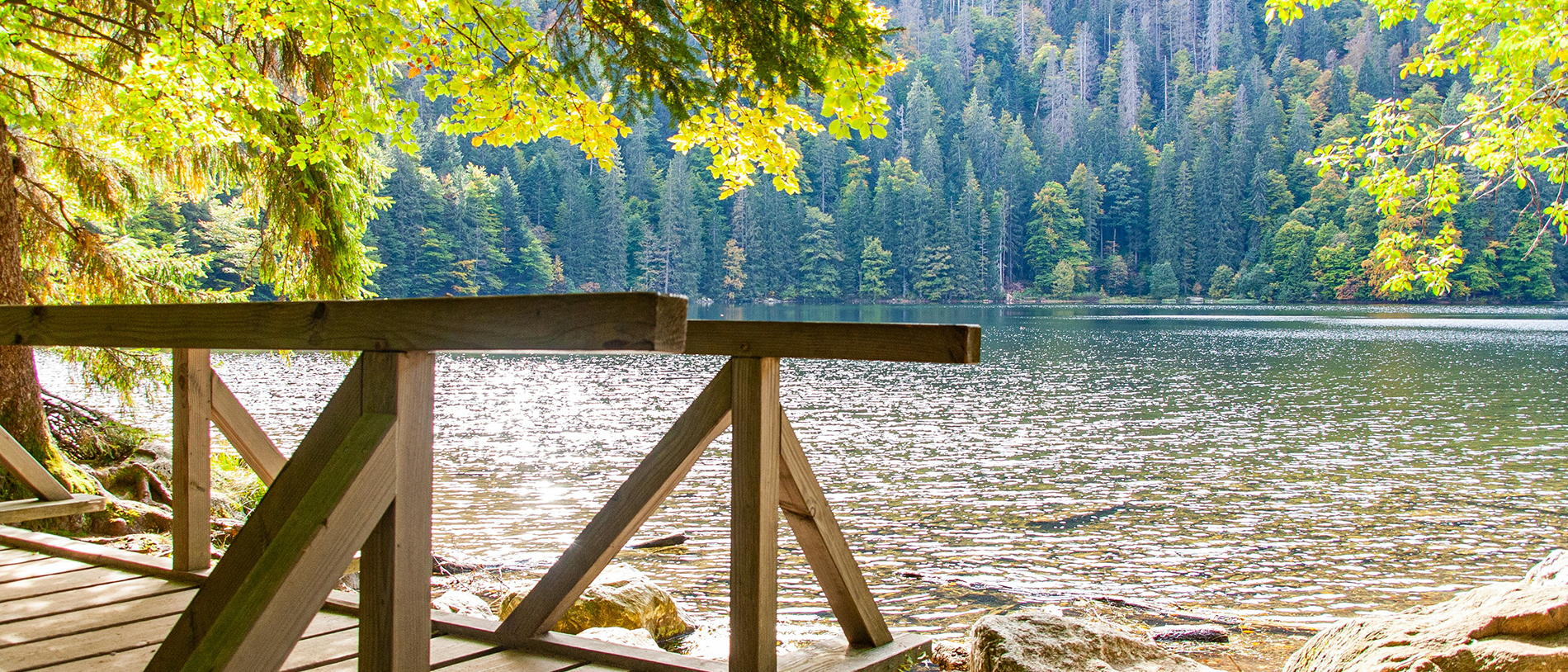 Gut erholen in den Ferienwohnungen der Villa Fink in Schramberg im Schwarzwald
